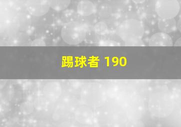 踢球者 190